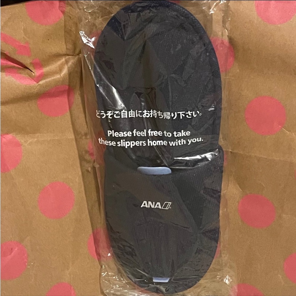 ANA Business Class Slippers Blue